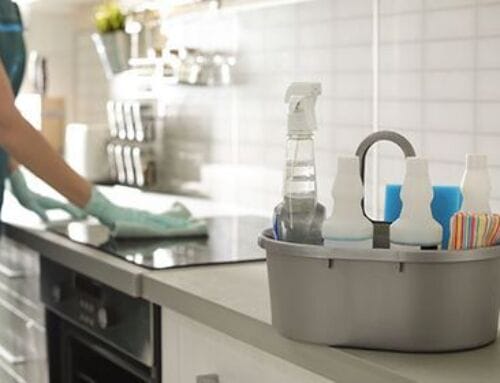Deep Cleaning Essentials For Charleston’s Humid Climate